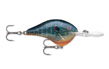 LIVE PUMPKINSEED